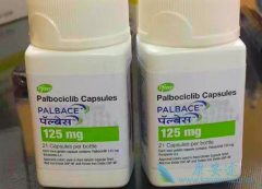 ���ٰ�ҩ����������(IBRANCE)�ڹ�����������