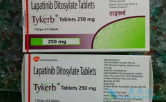 ��������(TYKERB)�¸������ƶ���ЩHER2�����ٰ����߻���Ч����