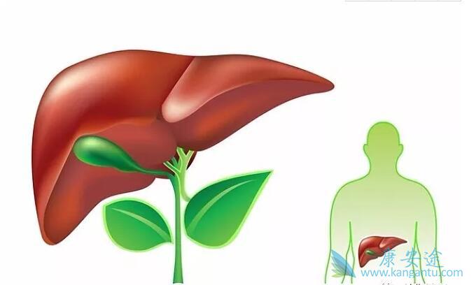 乙肝表面抗原阳性 乙肝表面抗原阳性