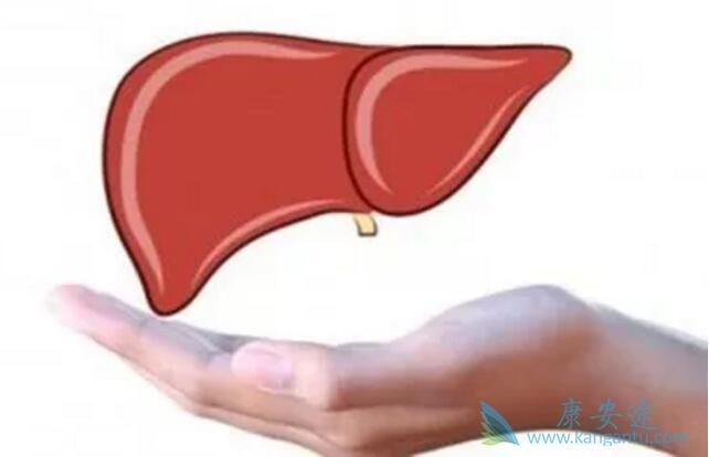 乙肝核心抗体 乙肝核心抗体