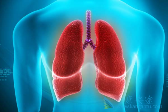 ɫ������