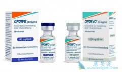 ���䵥��������ҩ���Ʒ�Сϸ���ΰ���Ч���뻯������ĸ��ã�