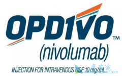 PD-1ҩ�����䵥��(Opdivo)�ڲ�ͬ���Ʋ�ͬ��Ӧ֢ʱ���÷�����
