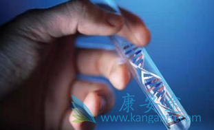 �����Ʒ�