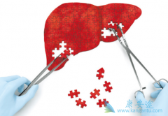 ����ҩ��������(STIVARGA)/��������������ƶ༪����ҩ��