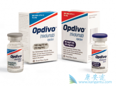 PD-1���Ƽ�ŷ���֣�Opdivo�����ڼ۸�Ԥ�� Opdivo���۶��ٺ��ʣ�