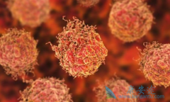 ��������(XBIRA)�����ڼ仼����ν��ж��Լ��