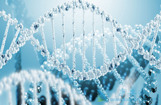 阿比特龙 阿比特龙