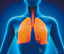 ӡ�����޿�/���������Ŀ����Ⱥ���޽�չ�������������ӳ�