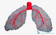 �ΰ���ҩ����᲼����Ч�ӳ����߷���ά����������