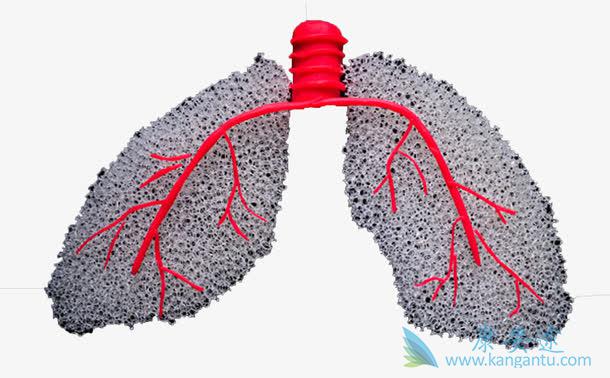 ����ҽ��