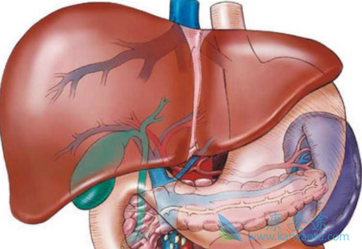 索拉非尼 索拉非尼