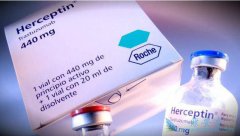 ����͡(Herceptin)�����ڶ��ְ�֢�����Ƶ������Ƕ������