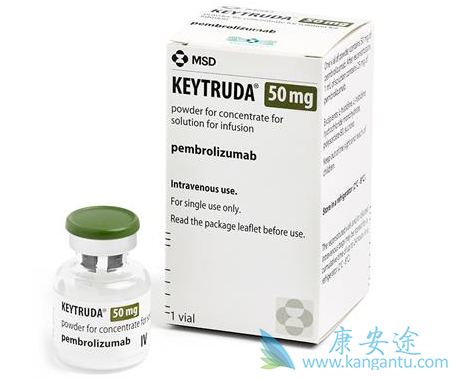 PD-1抗体 PD-1抗体