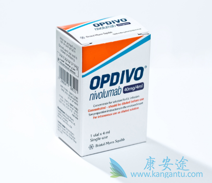 PD-1抑制剂 PD-1抑制剂