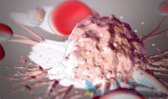 ������������������/�����������ڼ仼�߻����ܳ���Щˮ��