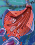 ����/���������������񾭼�������ϵ��������Ч����ô��