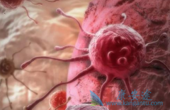 �Կ��ΰ�ҩ��θ���Ƭԭ���Ըΰ����κ���