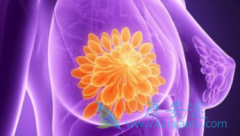 ����ǰ���ٰ����߷���������̹Ƭ/��˹̹����ʲô���