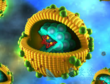 恩替卡韦 恩替卡韦