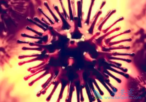 恩替卡韦说明书 恩替卡韦说明书