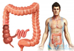 ��Щ�����־������жϽ᳦����Ԥ��