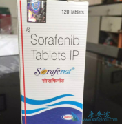 �������͵��������߷��üױ�������������Ƭ/�༪��Ч����