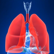 �ΰ�����Ӧ���ܶ೤ʱ���PD-1���Ƽ�����