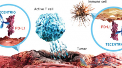 PD-L1���Ƽ�Tecentriq��עһ��Ҫ������ʱ��