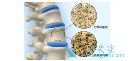 �ΰ���ת�Ƶ�����