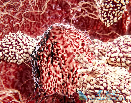 ��ϣ����