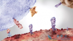 ̩��ɳ(Tagrisso)��ҩ�����¼��T790Mͻ����ָ���������Ƶ���Ҫ����