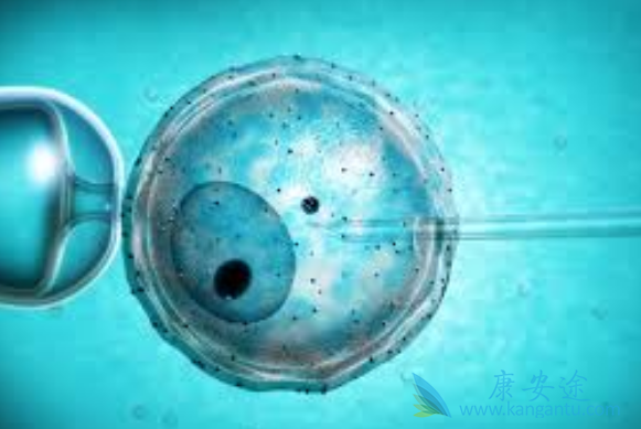试管婴儿 试管婴儿