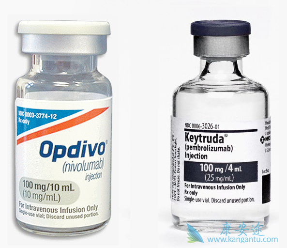 �ΰ���������