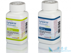 �������ᣨLynparza�����Ѿ����е�����֢PARP���Ƽ�֮һ