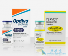 PD-1�����������ҹ���������ҩ��������ٶȼ�¼