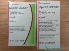 LAPATINIB���Ͽ��������������ER2�������ٰ���ת��