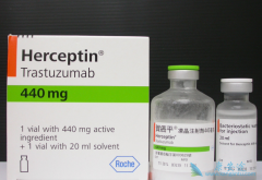 ����͡�������鵥�����������鵥���ǱȽ�֪����HER2���Ƽ�