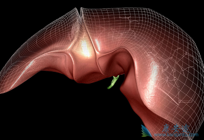 �ַ�����