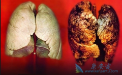 ��������(Mekinist)��������������������ڷΰ���Ч��Ϊ64%