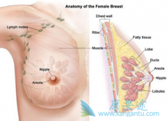 �ӳ����������ٰ��ڷ��������ǲ�����Ī���һ���AI