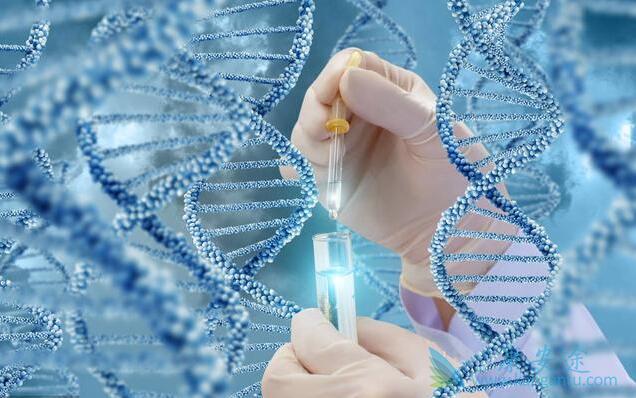 试管婴儿技术 试管婴儿技术