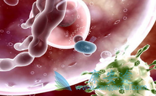 伏立诺他 伏立诺他