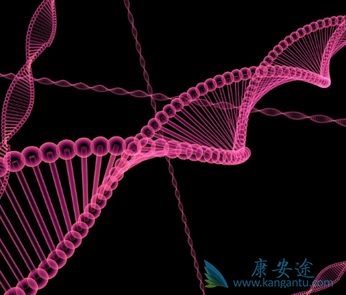 伏立诺他 伏立诺他