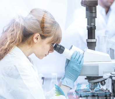 试管婴儿 试管婴儿