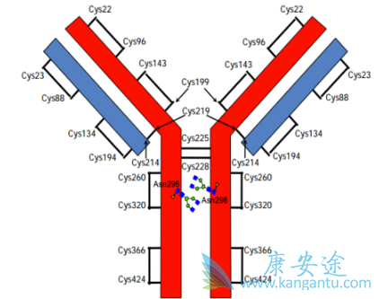 雷莫芦单抗 雷莫芦单抗