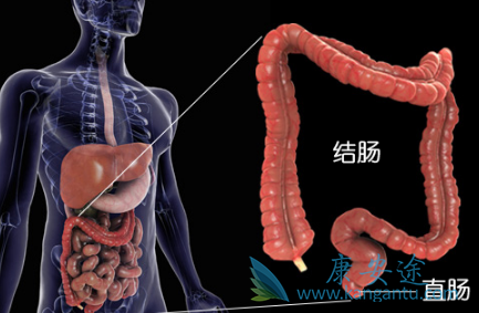 雷莫芦单抗 雷莫芦单抗