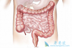 ������(REGORAFENIB)�����ʹ�᳦�����ߵ����������