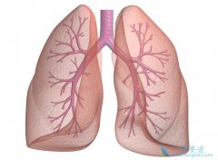 ����ά��������������ͪ����ֵĳ���������Ӧ����Щ��