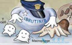 ��³����/���������������ܰͰ����ߵ�һ�����Ƶ�����ҩ��